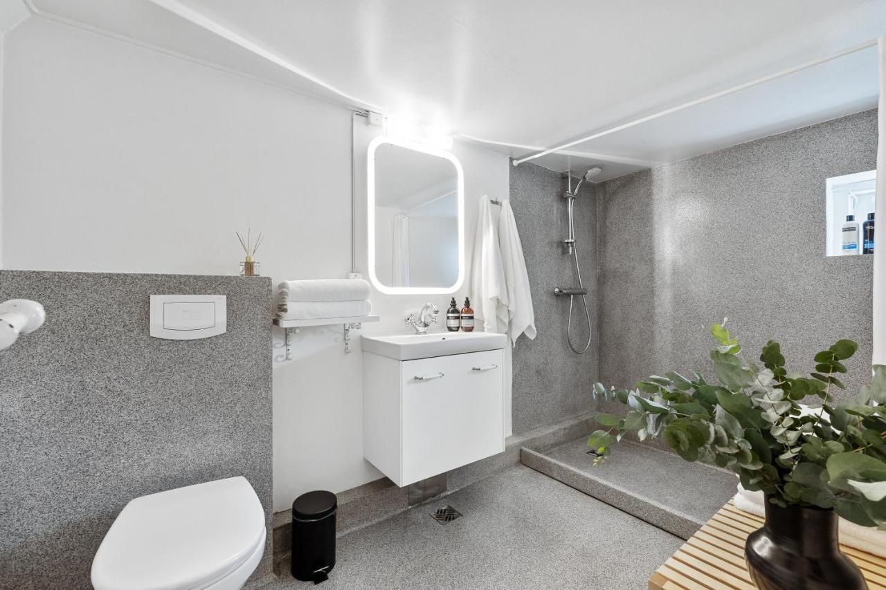 Luxury Villa In Downtown レイキャヴィーク エクステリア 写真